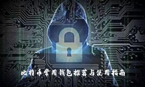 比特币常用钱包推荐与使用指南