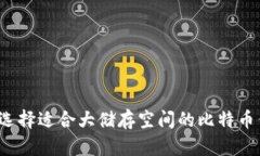 如何选择适合大储存空间