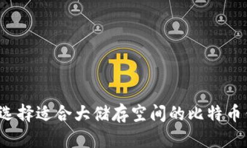 如何选择适合大储存空间的比特币钱包？