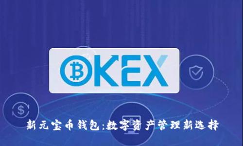 新元宝币钱包：数字资产管理新选择