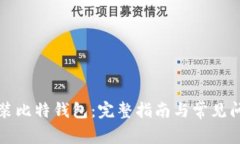 快速安装比特钱包：完整
