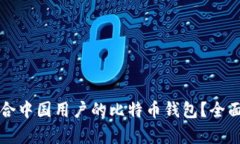 如何选择适合中国用户的