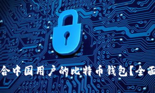 如何选择适合中国用户的比特币钱包？全面解析与推荐