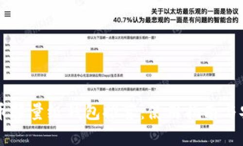 国内比特币轻量级钱包推荐：使用指南与安全性分析