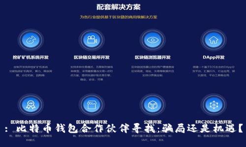: 比特币钱包合作伙伴寻找：骗局还是机遇？