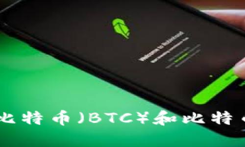 如何选择和使用比特币（BTC）和比特币现金（BCC）钱包