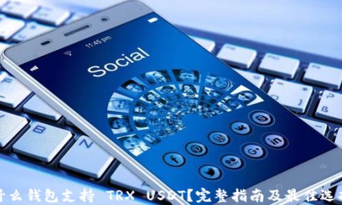 
什么钱包支持 TRX USDT？完整指南及最佳选择