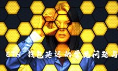 解决 ETH 钱包延迟的常见问