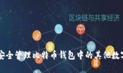 如何安全管理比特币钱包