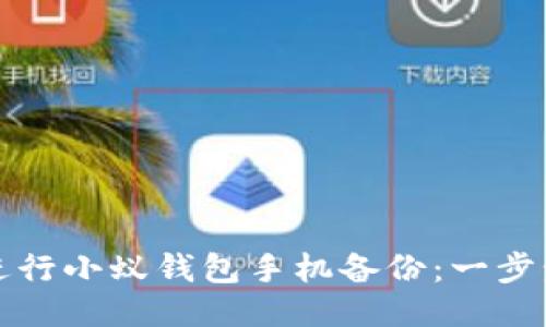 如何进行小蚁钱包手机备份：一步步指南