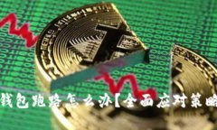 比特币私人钱包跑路怎么办？全面应对策略与预