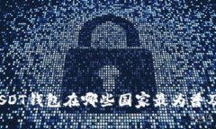 USDT钱包在哪些国家最为普及？