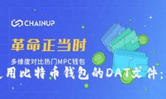 如何理解和使用比特币钱包的DAT文件：一份全面