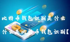 比特币钱包识别是什么什