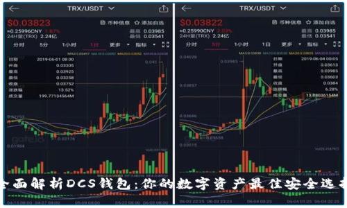 全面解析DCS钱包：你的数字资产最佳安全选择