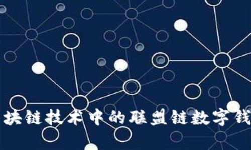 全面解析区块链技术中的联盟链数字钱包及其应用