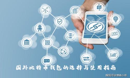 国外比特币钱包的选择与使用指南