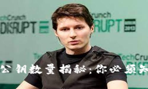 思考一个且的

比特币钱包的公钥数量揭秘：你必须知道的关键知识