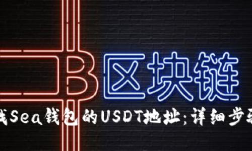 如何查找Sea钱包的USDT地址：详细步骤与技巧