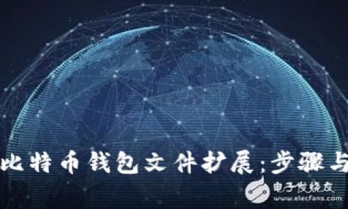 如何更新比特币钱包文件扩展：步骤与注意事项