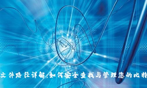比特币钱包文件路径详解：如何安全查找与管理您的比特币钱包数据