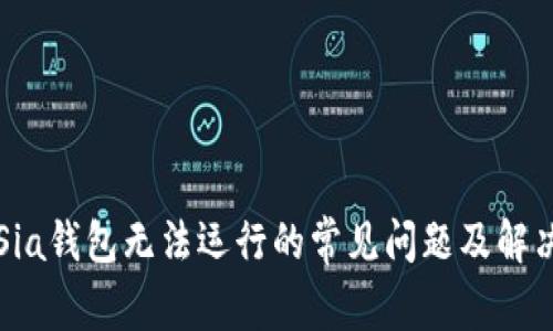 解决Sia钱包无法运行的常见问题及解决方案