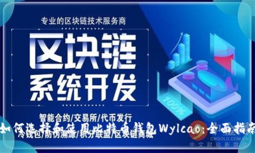 如何选择和使用比特币钱包Wylcao：全面指南