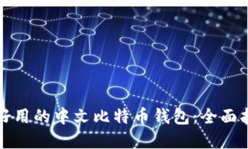 如何选择好用的中文比特币钱包：全面指南与推荐