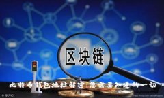 比特币钱包地址解密：您