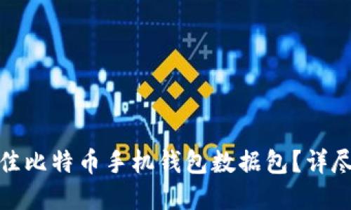 如何选择最佳比特币手机钱包数据包？详尽指南与建议