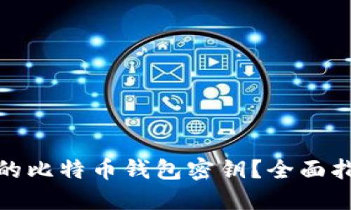如何找回丢失的比特币钱包密钥？全面指南与实用建议