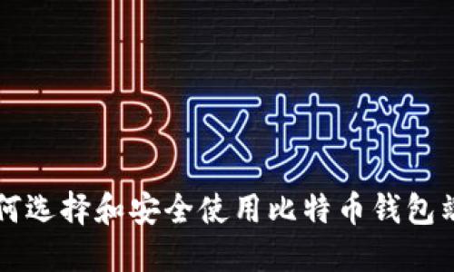 如何选择和安全使用比特币钱包端口