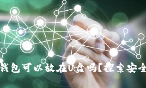 : 比特币钱包可以放在U盘吗？探索安全存储方式