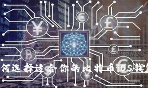 如何选择适合你的比特币iOS钱包？