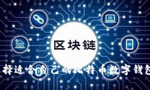 如何选择适合自己的比特币数字钱包主板？