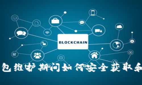 : USDT钱包维护期间如何安全获取和管理资产
