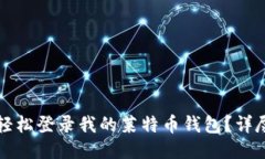 怎样轻松登录我的莱特币钱包？详尽指南