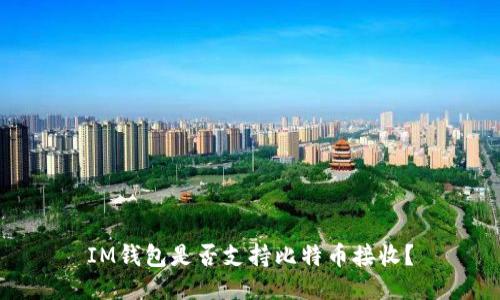 IM钱包是否支持比特币接收？