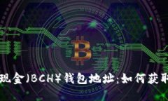 比特币现金（BCH）钱包地址：如何获取和使用