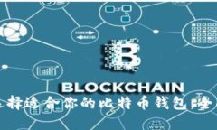 如何选择适合你的比特币