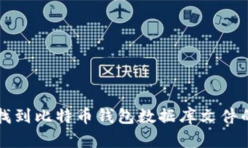 如何找到比特币钱包数据库文件的位置