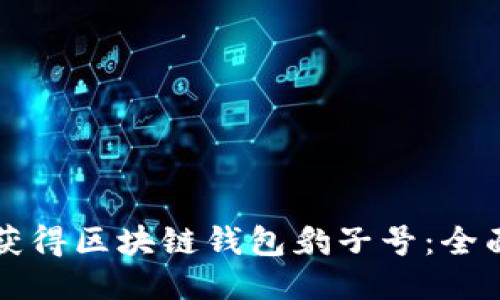 如何获得区块链钱包豹子号：全面指南
