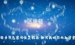 比特币钱包密码恢复指南：如何找回你的加密资