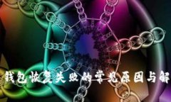 比特币钱包恢复失败的常见原因与解决方案