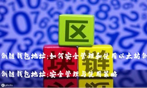 以太坊侧链钱包地址：如何安全管理和使用以太坊侧链资产

以太坊侧链钱包地址：安全管理与使用策略