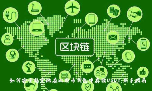  如何安全稳定地在比特币钱包中存储USDT：新手指南