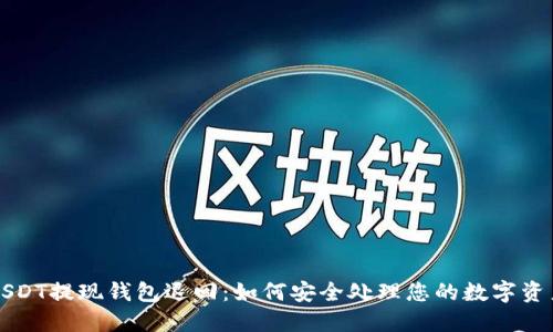 USDT提现钱包退回：如何安全处理您的数字资产