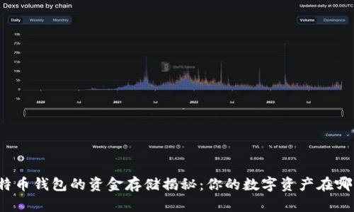 比特币钱包的资金存储揭秘：你的数字资产在哪里？
