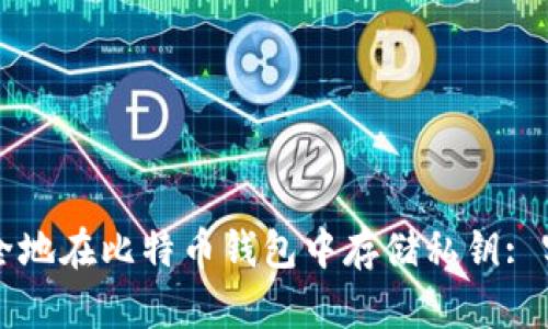 如何安全地在比特币钱包中存储私钥: 实用指南