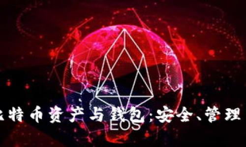 全面解析比特币资产与钱包：安全、管理与投资指南